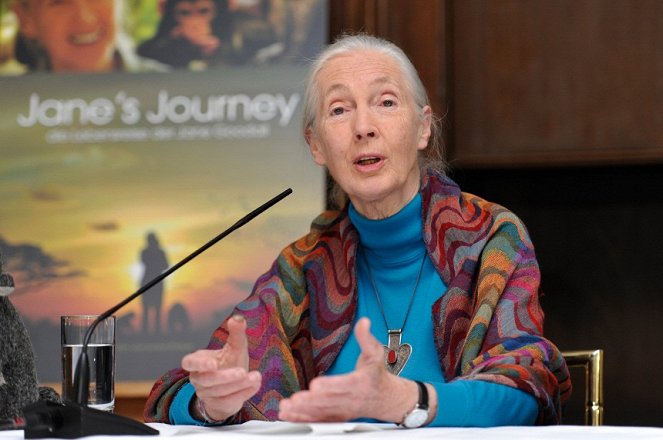 Życie Jane - Z imprez - Jane Goodall