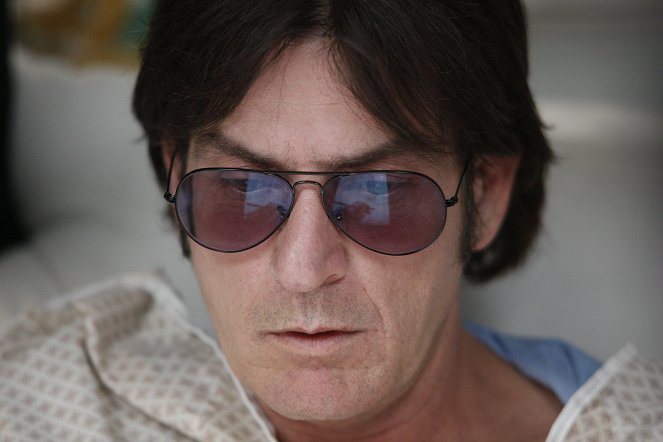 A Glimpse Inside the Mind of Charles Swan III - Photos - Charlie Sheen