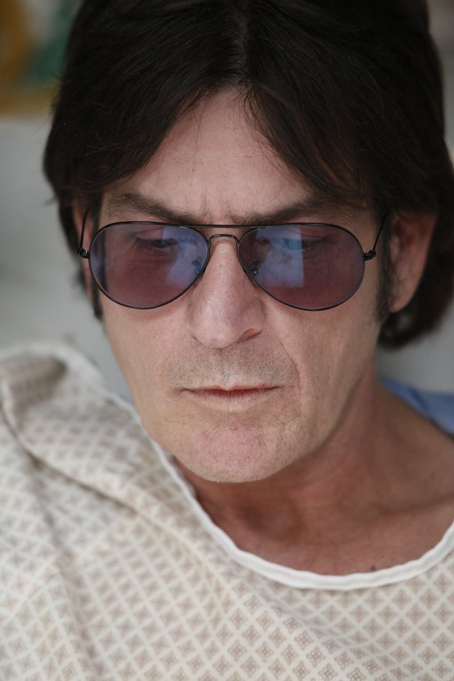 A Glimpse Inside the Mind of Charles Swan III - Photos - Charlie Sheen