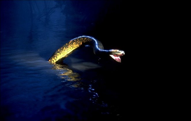 Anaconda - Do filme