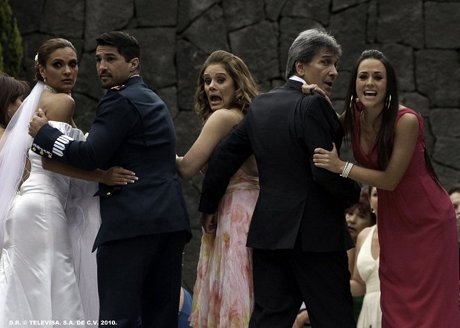 Mar de amor - Van film - Mariana Seoane, Arturo Carmona, Erika Buenfil, Juan Ferrara, Zuria Vega