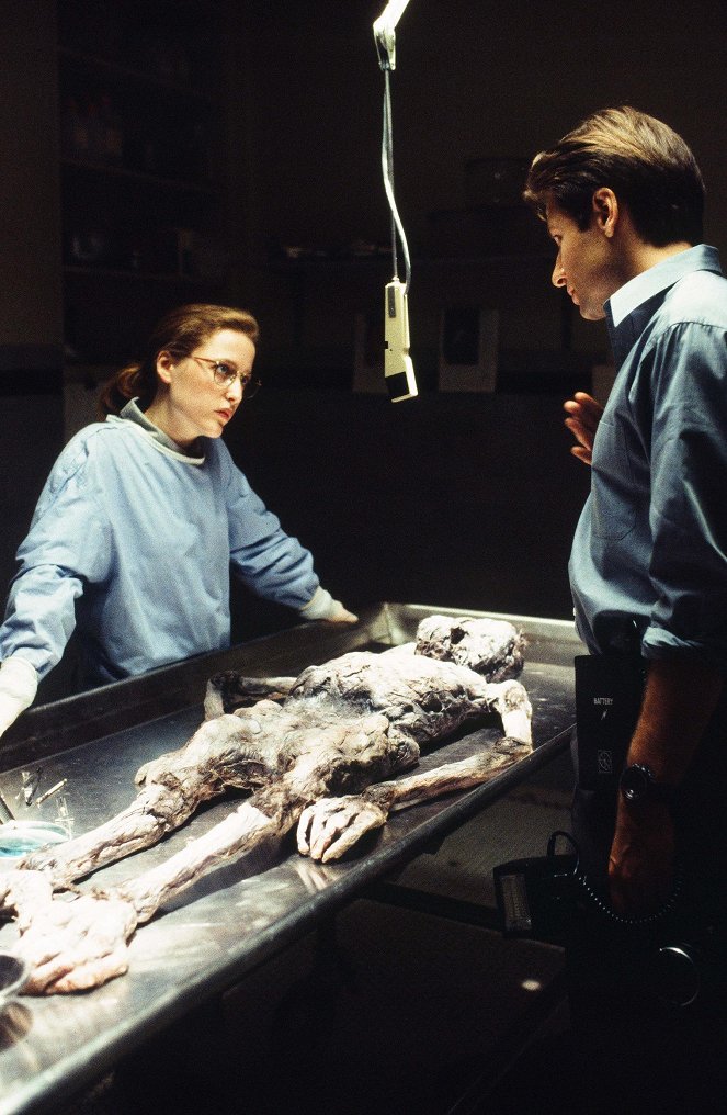 The X-Files - Pilot - Van film - Gillian Anderson, David Duchovny