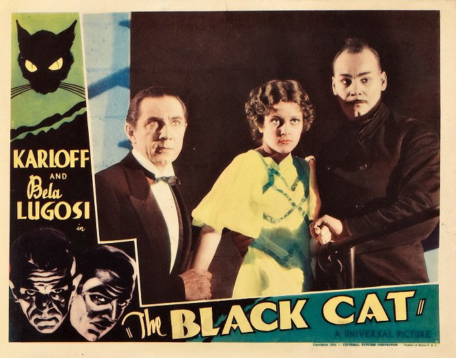 Černá kočka - Fotosky