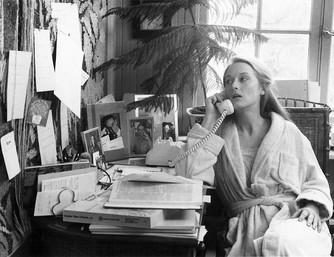 The Seduction of Joe Tynan - Filmfotók - Meryl Streep