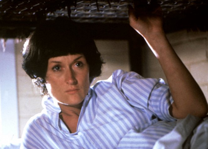 Um Grito no Esuro - Do filme - Meryl Streep