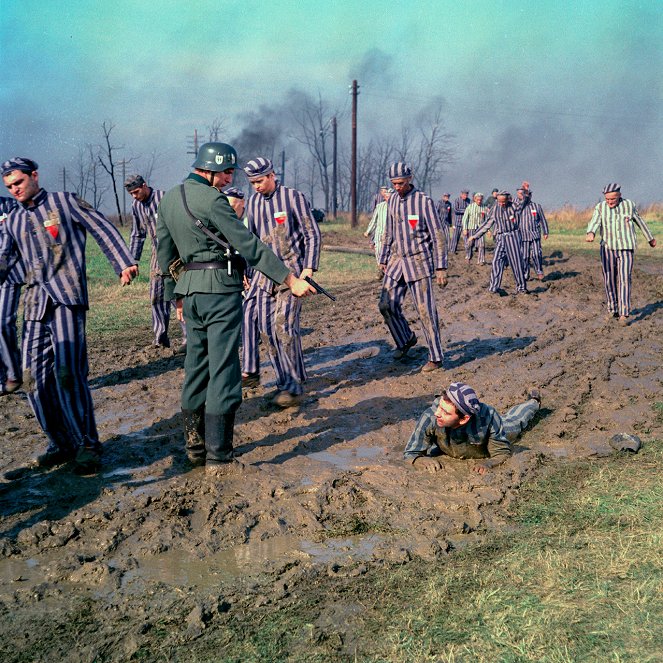 Byl jednou jeden dům - Tournage - Petr Čepek