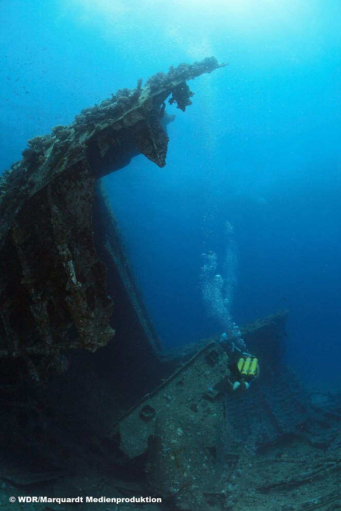 Jacques Cousteau's Legacy: Return to the Undersea World - De la película