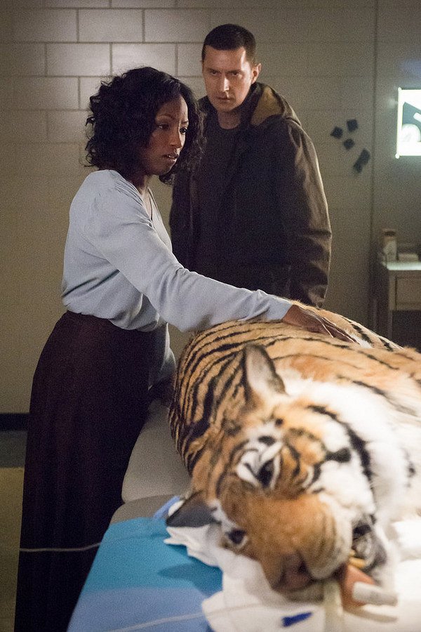 Hannibal - ...And the Woman Clothed with the Sun - Photos - Rutina Wesley, Richard Armitage