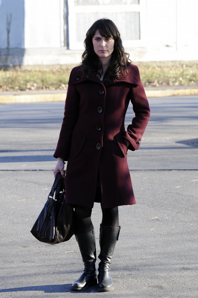 In Treatment - Season 2 - Gina: Week Five - Photos - Michelle Forbes