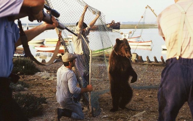 Le Baiser de l'ours - Film