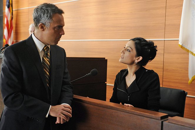 The Good Wife - Season 1 - Unter Beobachtung - Filmfotos - Titus Welliver, Archie Panjabi