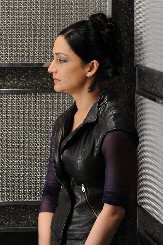 The Good Wife - Getting Off - Photos - Archie Panjabi