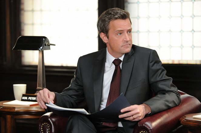 The Good Wife - Blue Ribbon Panel - Photos - Matthew Perry