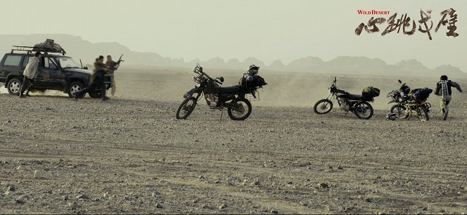 Wild Desert - Fotocromos