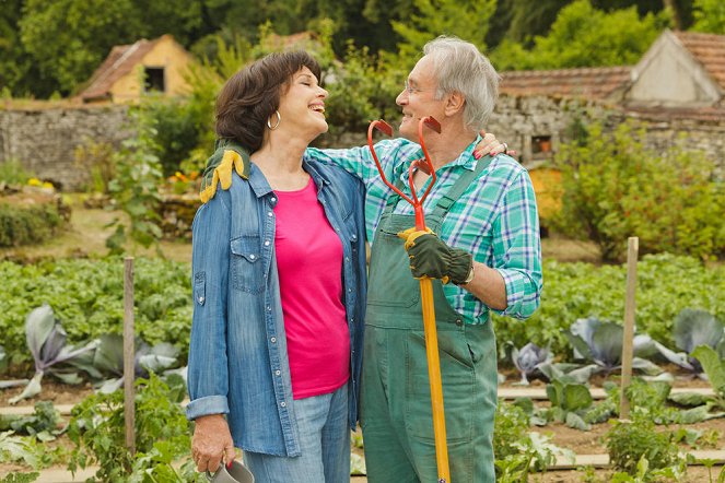 Une famille formidable - De la película - Anny Duperey, Bernard Le Coq