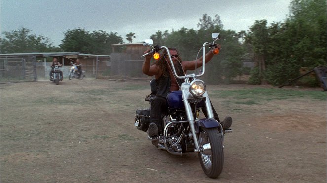 Born to Ride - Do filme