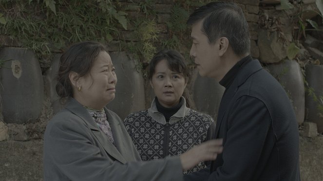 A Dongguan Girl - Van film