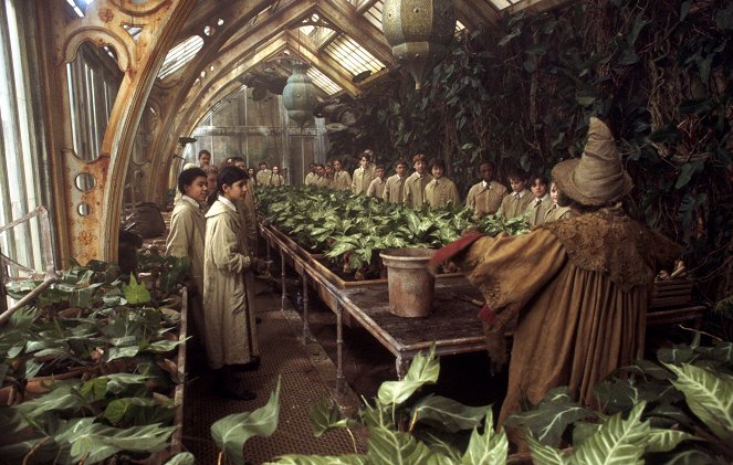 Harry Potter und die Kammer des Schreckens - Filmfotos