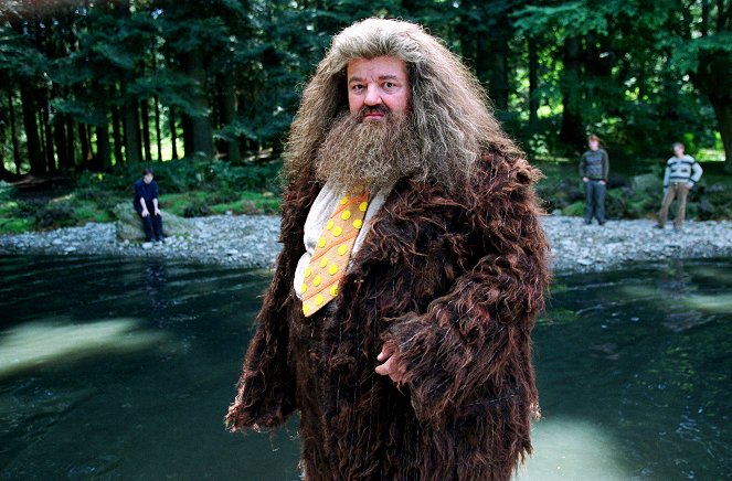 Harry Potter és az azkabani fogoly - Filmfotók - Robbie Coltrane
