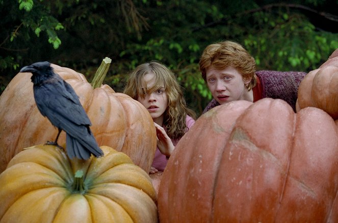 Harry Potter und der Gefangene von Askaban - Filmfotos - Emma Watson, Rupert Grint