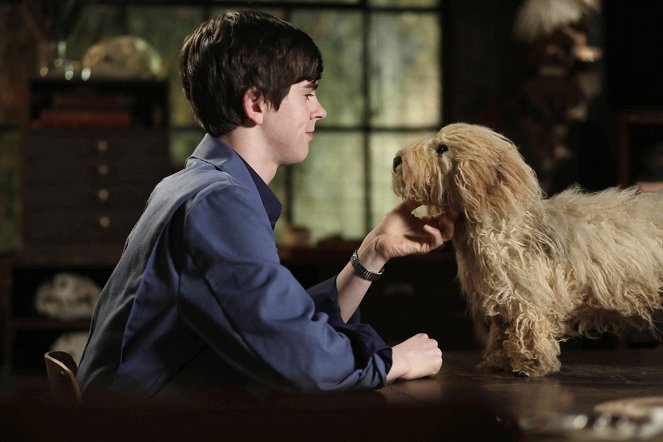 Bates Motel - Season 1 - Chłopak i jego pies - Z filmu - Freddie Highmore