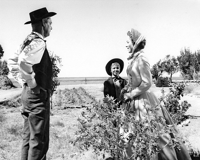 The Proud Rebel - Filmfotos - Alan Ladd, David Ladd, Olivia de Havilland