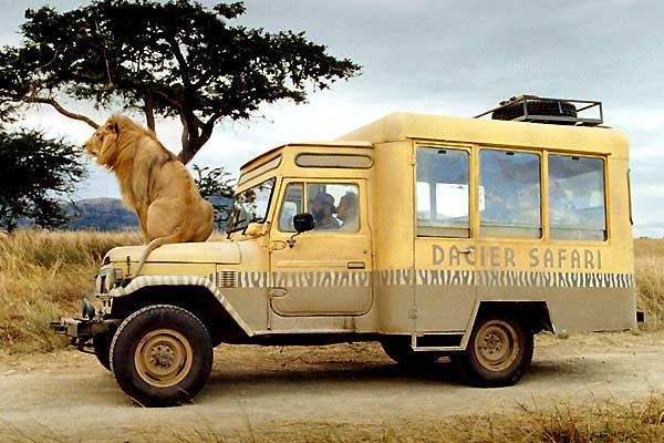 Safari - Filmfotók