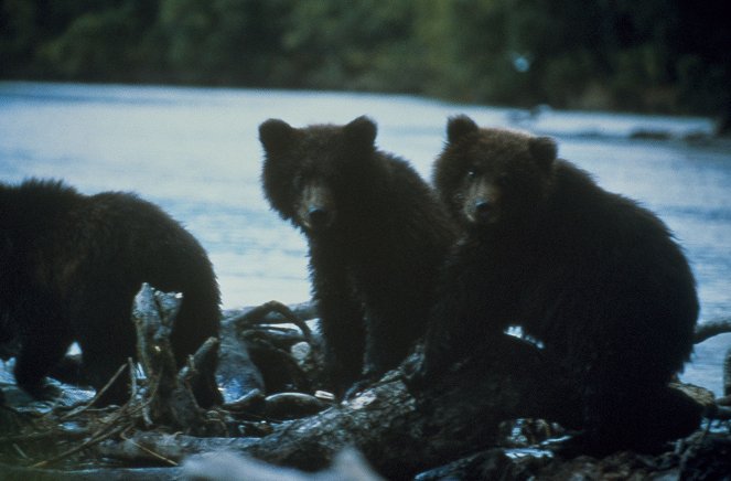 A tízezer medve földje - Filmfotók