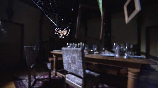 A csodálatos pókház - Filmfotók