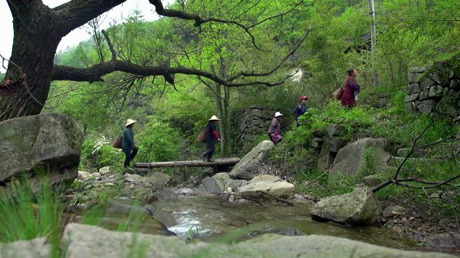 Secrets of China - Filmfotók