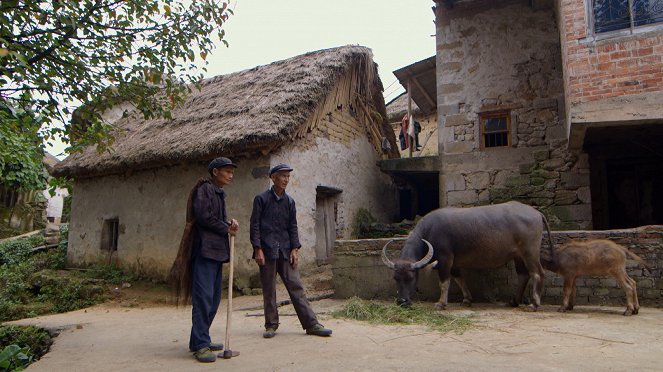 Secrets of China - Kuvat elokuvasta