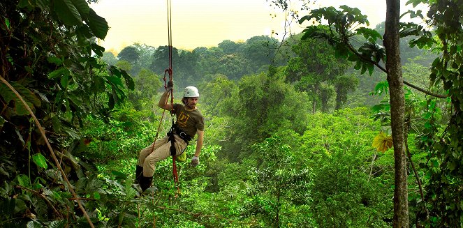 Ein Baumhaus in Costa Rica - Do filme