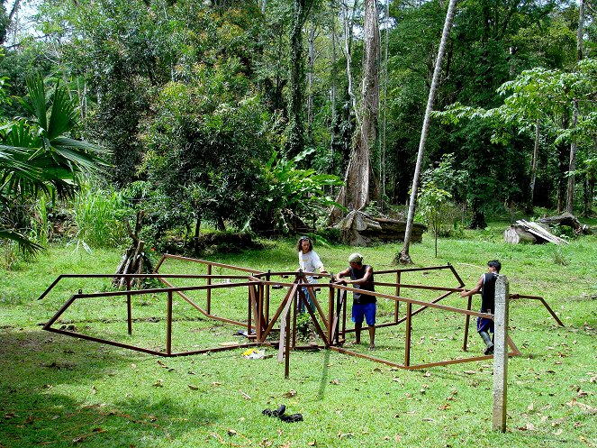 Ein Baumhaus in Costa Rica - Van film