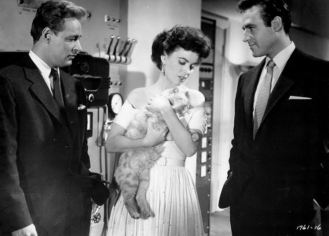 Regreso a la Tierra - De la película - Faith Domergue, Orangey el gato, Rex Reason