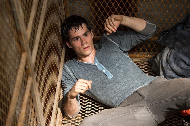 The Maze Runner - Lobby Cards - Dylan O'Brien