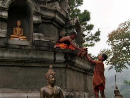 Buddha's Lost Children - Film