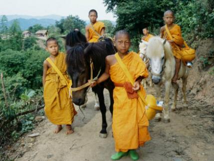Los niños de Buda - De la película