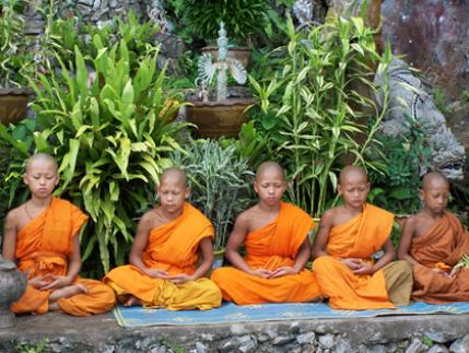 Buddha's Lost Children - Photos