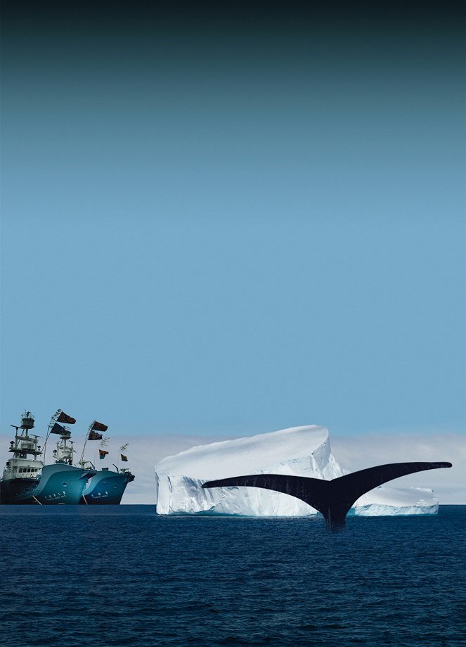 Jagdzeit - Den Walfängern auf der Spur - Filmfotók
