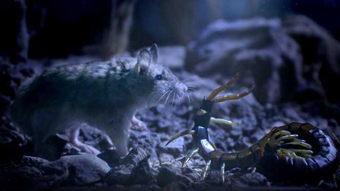 Tiny Giants 3D - Filmfotos