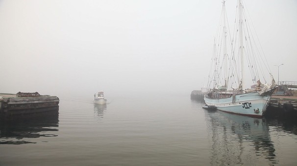 La Forme des îles - Van film