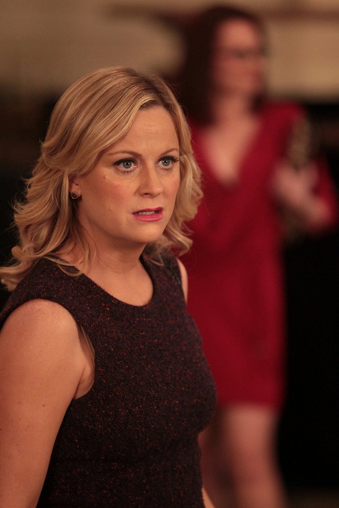 Parks and Recreation - Ron and Diane - Photos - Amy Poehler