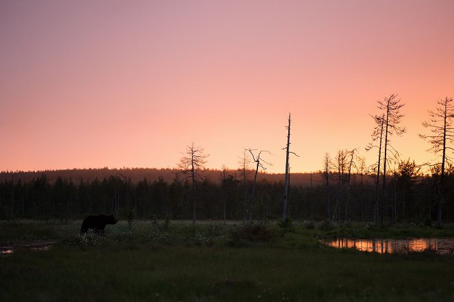 Magical Moors - Photos