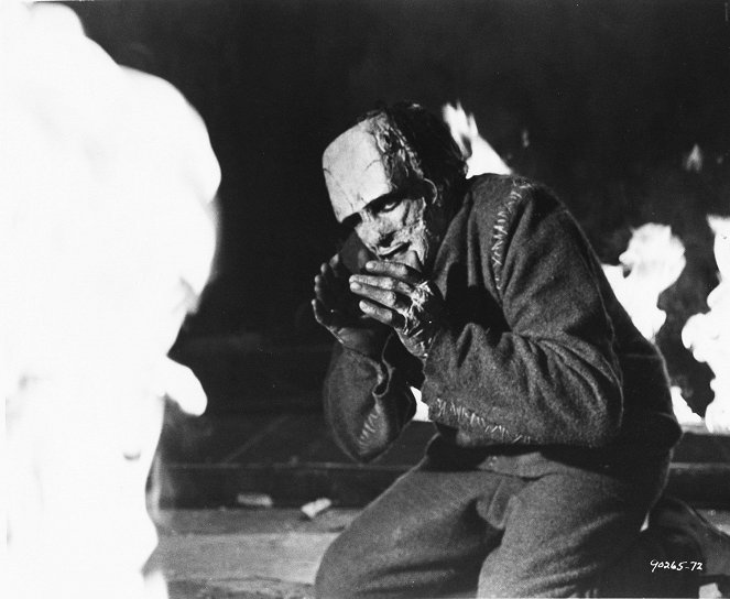 L'Empreinte de Frankenstein - Film - Kiwi Kingston