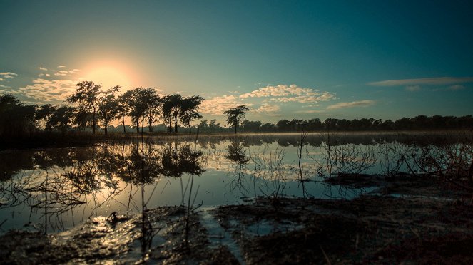 Africa's Wild Kingdom Reborn - Filmfotos