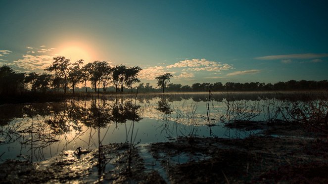 Africa's Wild Kingdom Reborn - Photos