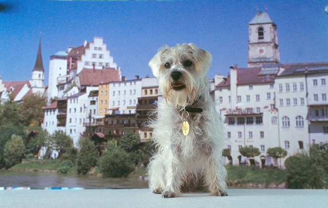 Ein Hund für alle Fälle - De la película