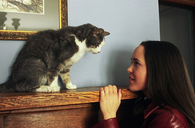 Kočka paní Ashborové - Z filmu - Elliot Page