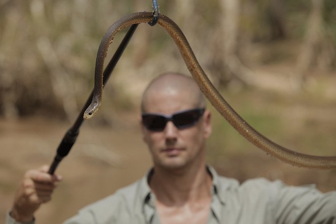 Taipan, die gefährlichste Schlange der Welt - Z filmu