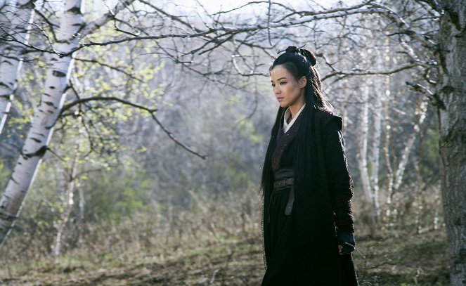 The Assassin - Filmfotos - Qi Shu